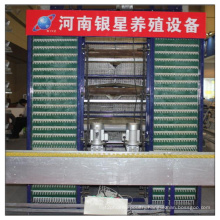 Battery Layer Cage for Algeira Farm